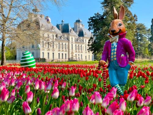 Un printemps coloré